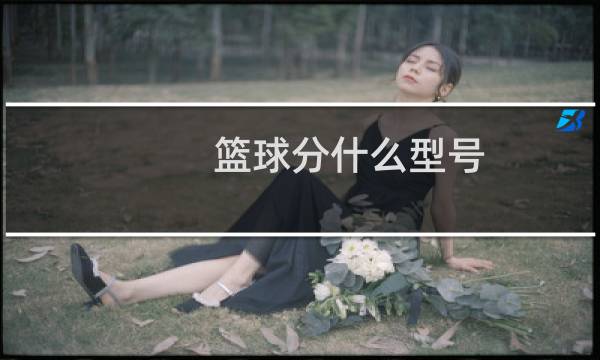 篮球分什么型号图片