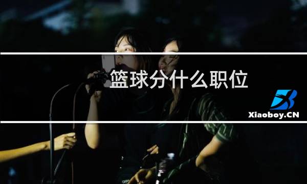 篮球分什么职位图片
