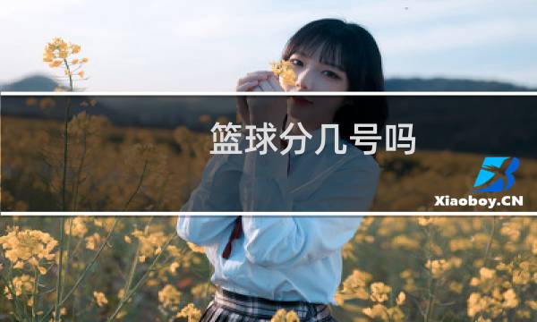 篮球分几号吗图片