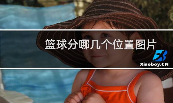 篮球分哪几个位置图片图片