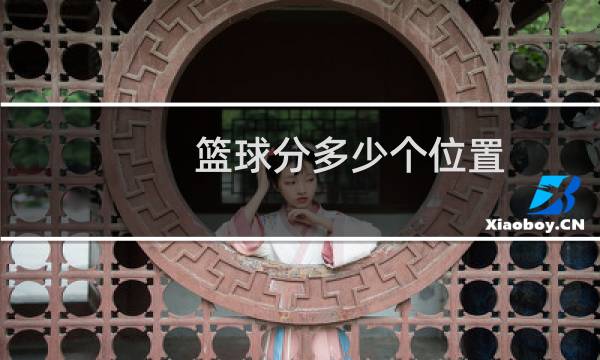 篮球分多少个位置图片