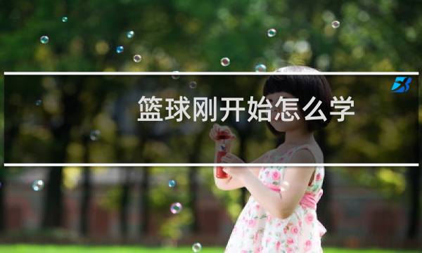 篮球刚开始怎么学图片