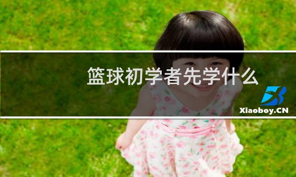 篮球初学者先学什么图片