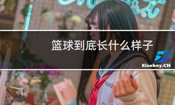 篮球到底长什么样子图片