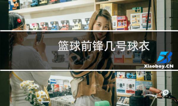 篮球前锋几号球衣图片