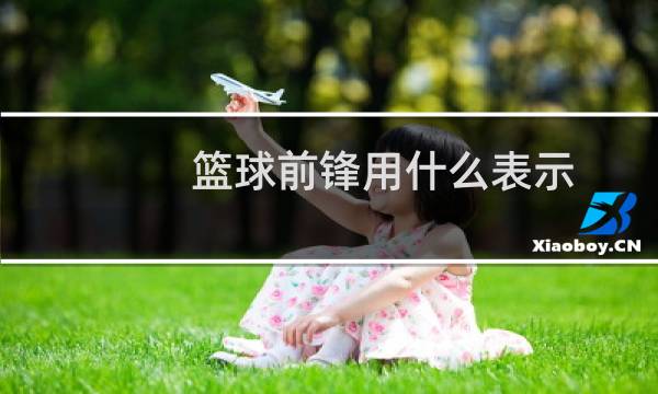 篮球前锋用什么表示图片