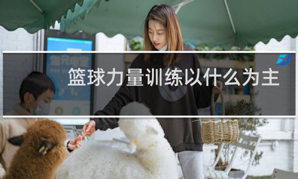 篮球力量训练以什么为主图片