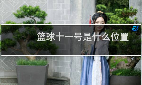 篮球十一号是什么位置图片