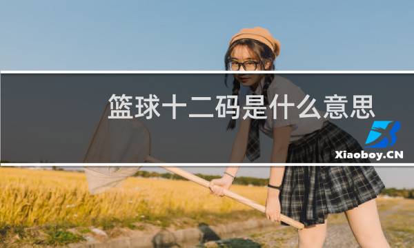 篮球十二码是什么意思图片