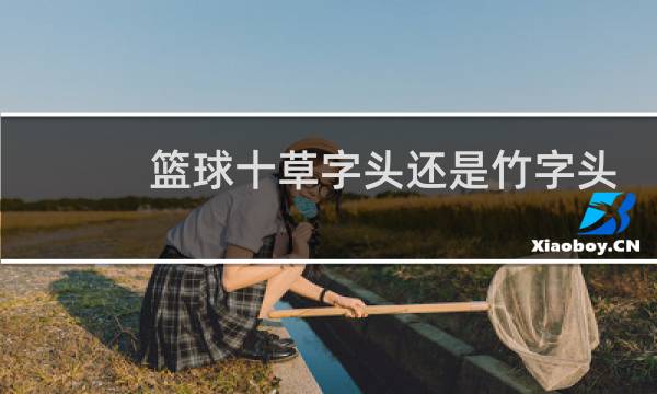 篮球十草字头还是竹字头图片