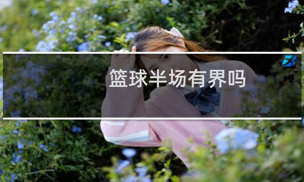 篮球半场有界吗图片