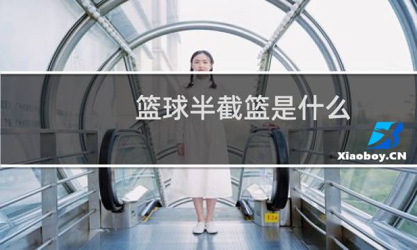 篮球半截篮是什么图片