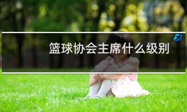 篮球协会主席什么级别图片