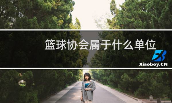 篮球协会属于什么单位图片