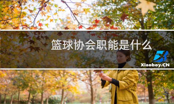 篮球协会职能是什么图片