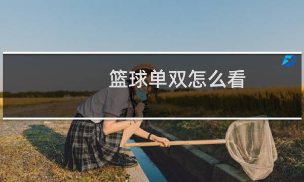 篮球单双怎么看图片