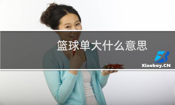 篮球单大什么意思图片