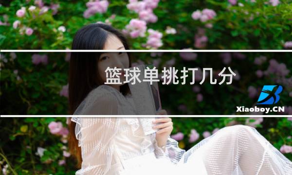 篮球单挑打几分图片