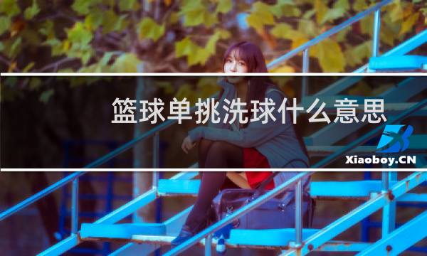 篮球单挑洗球什么意思图片