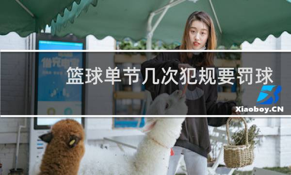 篮球单节几次犯规要罚球图片