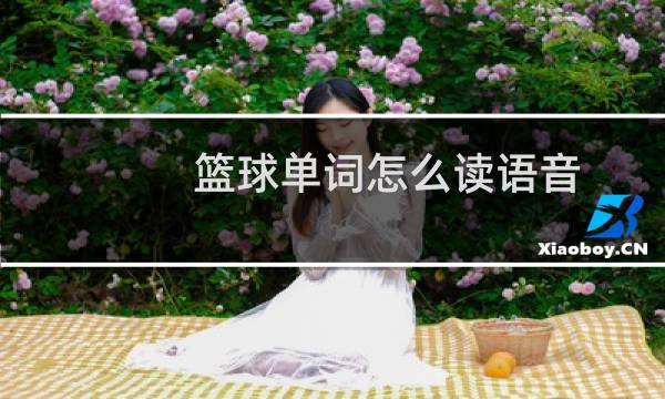 篮球单词怎么读语音图片
