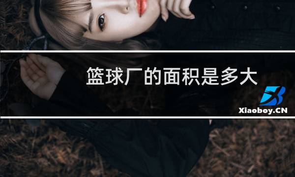 篮球厂的面积是多大图片
