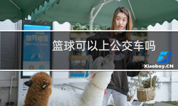 篮球可以上公交车吗图片