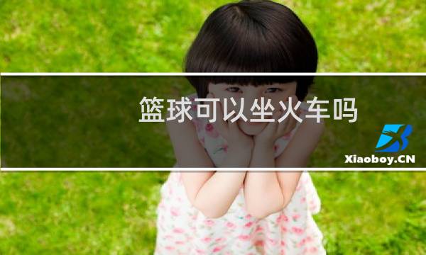 篮球可以坐火车吗图片