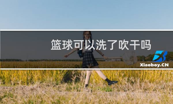 篮球可以洗了吹干吗图片
