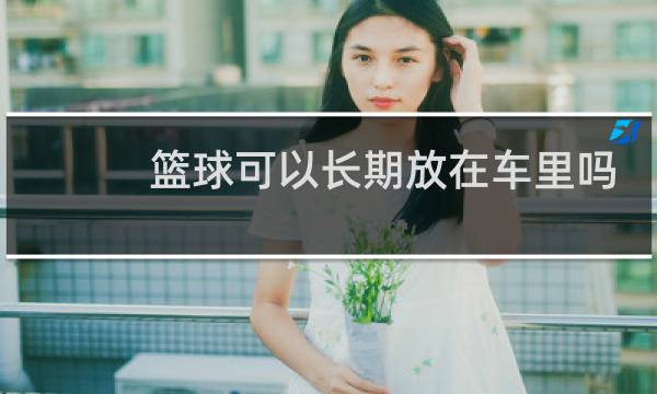 篮球可以长期放在车里吗图片