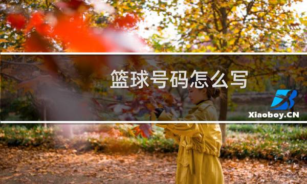 篮球号码怎么写图片