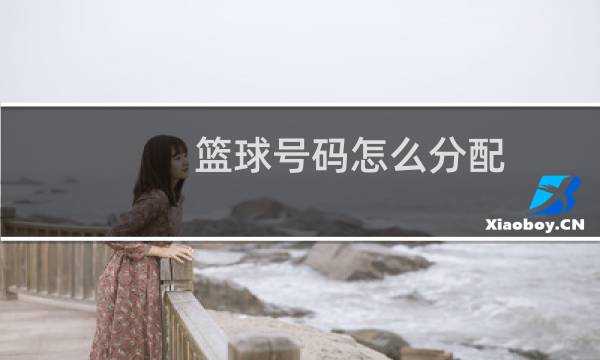 篮球号码怎么分配图片