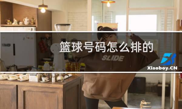 篮球号码怎么排的图片