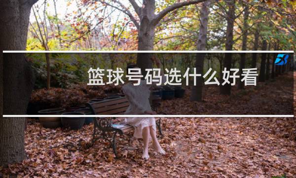 篮球号码选什么好看图片