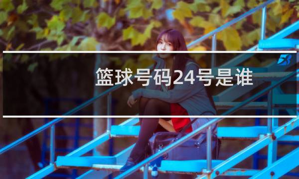 篮球号码24号是谁图片