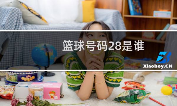 篮球号码28是谁图片