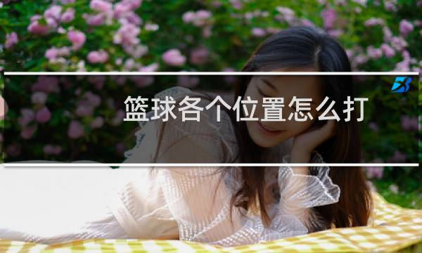 篮球各个位置怎么打图片