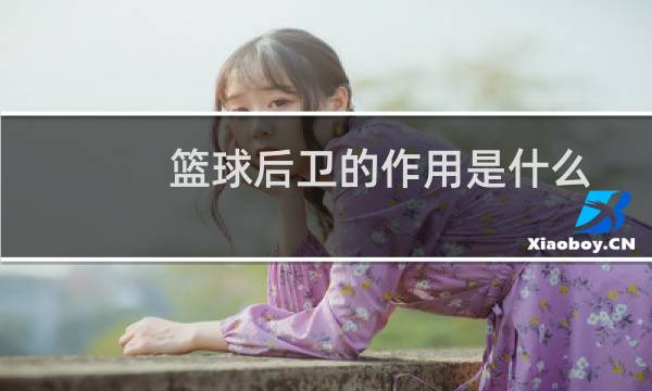 篮球后卫的作用是什么图片