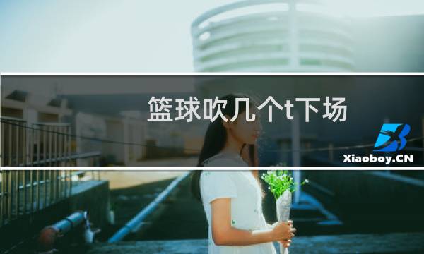 篮球吹几个t下场图片