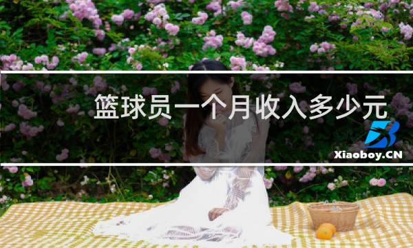 篮球员一个月收入多少元图片