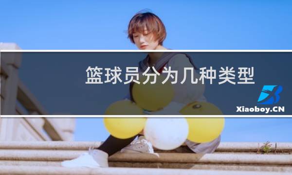 篮球员分为几种类型图片
