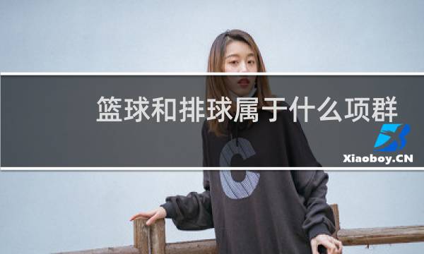 篮球和排球属于什么项群图片