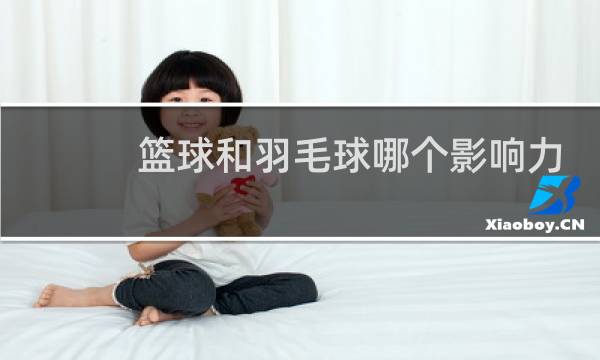 篮球和羽毛球哪个影响力大图片
