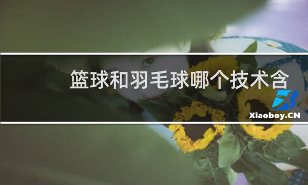 篮球和羽毛球哪个技术含量高图片