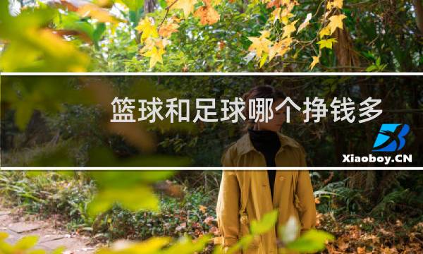 篮球和足球哪个挣钱多图片