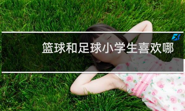 篮球和足球小学生喜欢哪一个图片