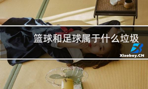 篮球和足球属于什么垃圾图片