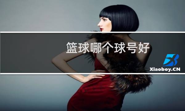 篮球哪个球号好图片