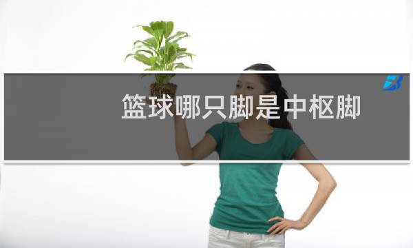 篮球哪只脚是中枢脚图片