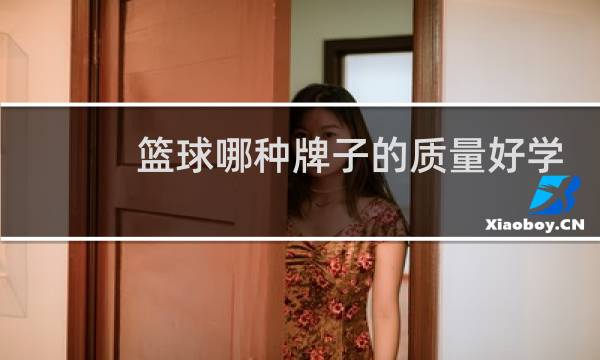 篮球哪种牌子的质量好学生图片